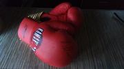 Продам боксёрские перчатки Виталия Кличко с автографом